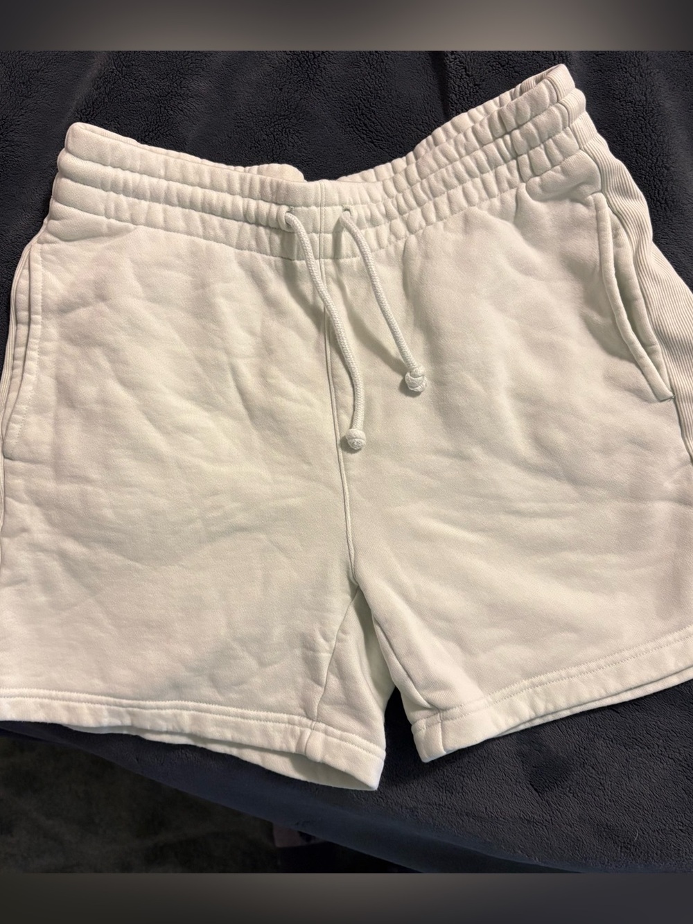 Aritizia TNA Sweat Shorts